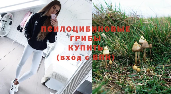 соль курить ск Горнозаводск