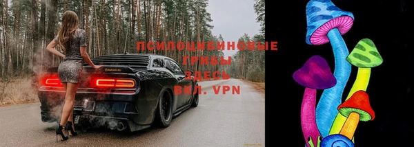 бутират Горняк