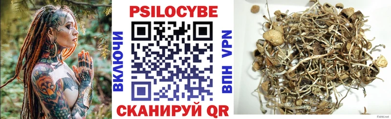 Купить где  Кимры  Псилоцибиновые грибы Psilocybe 